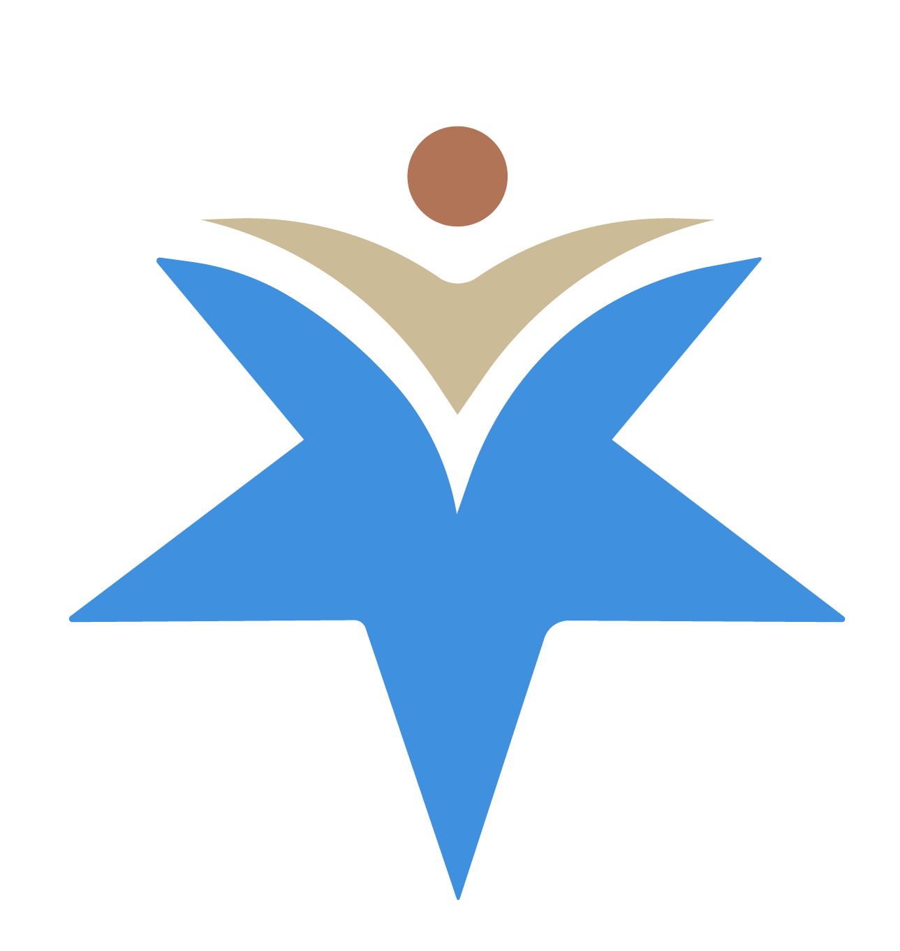 Neither Theory nor the Market—What Somalia's Current Education Must Get Right.
