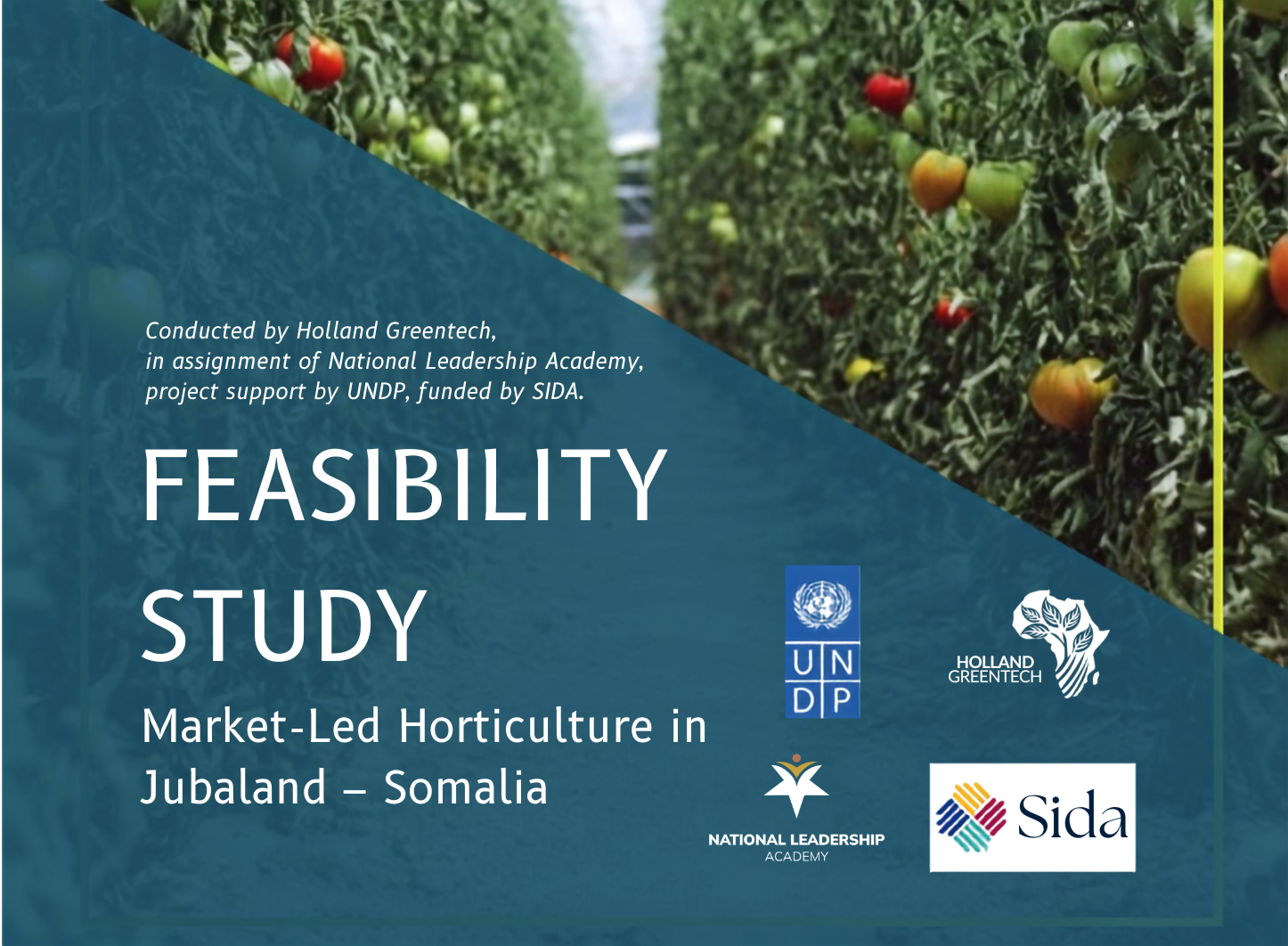 Feasibility Study and Market Assessment for Innovative AgriTech Initiative in Jubbaland